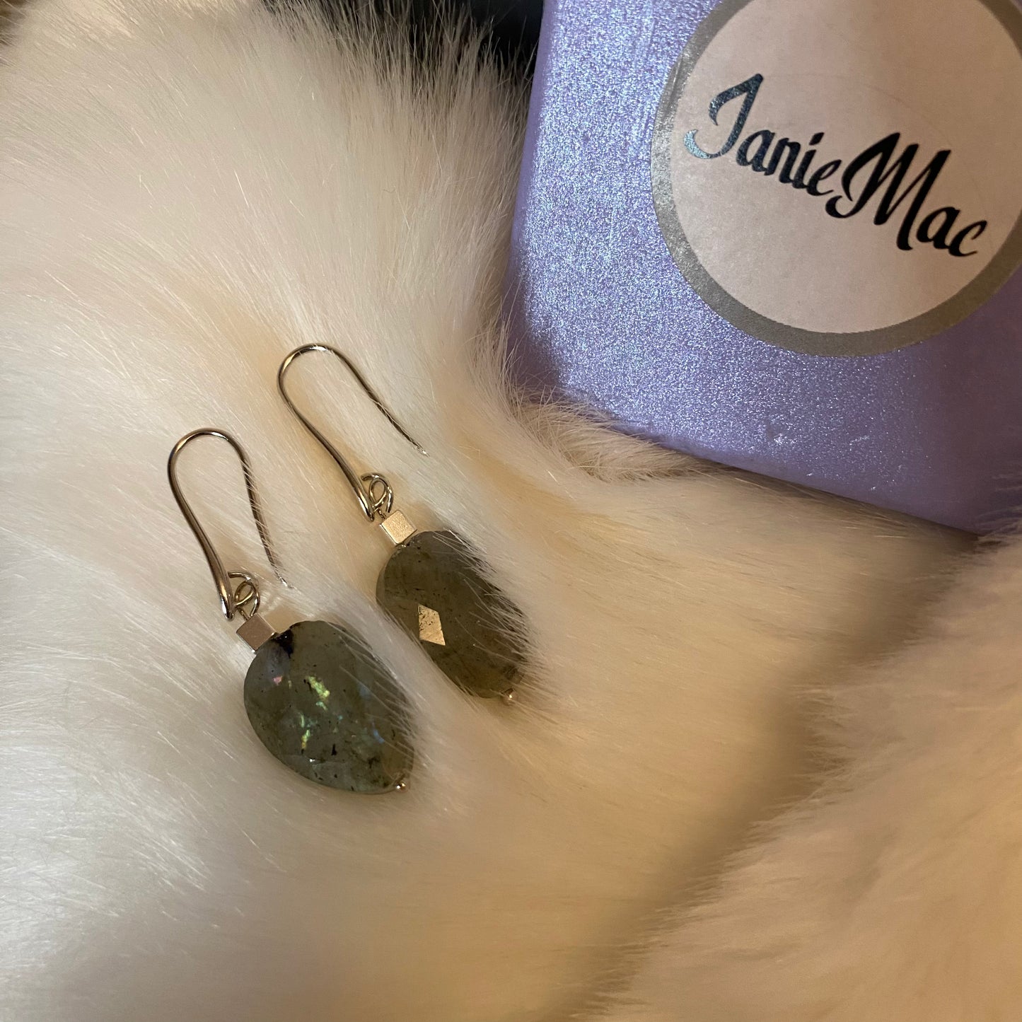 Heal Labourite Gem Stone earrings